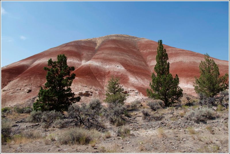 2024-Aug-847-PaintedHills.jpg
