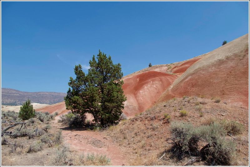 2024-Aug-848-PaintedHills.jpg