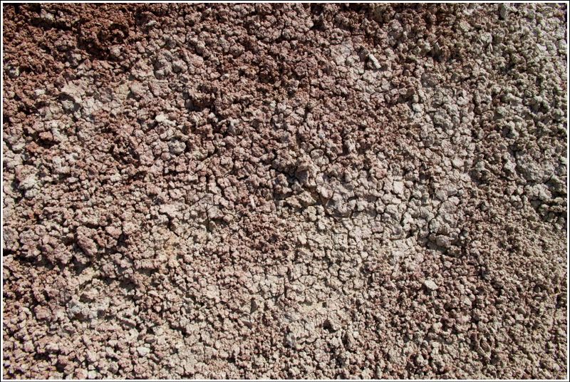 2024-Aug-849-PaintedHills.jpg