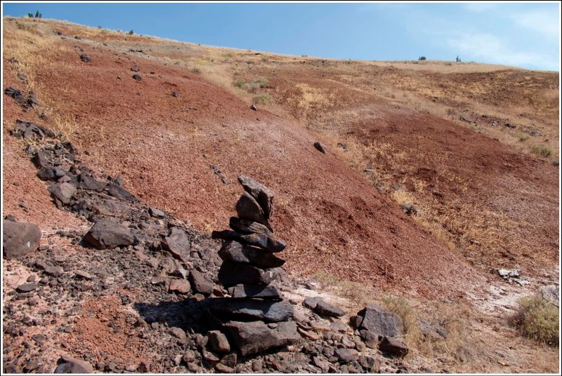 2024-Aug-851-PaintedHills.jpg
