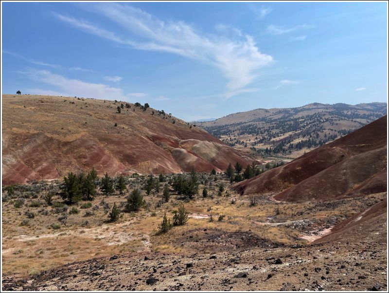 2024-Aug-855-PaintedHills.jpg