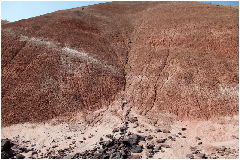 2024-Aug-857-PaintedHills.jpg