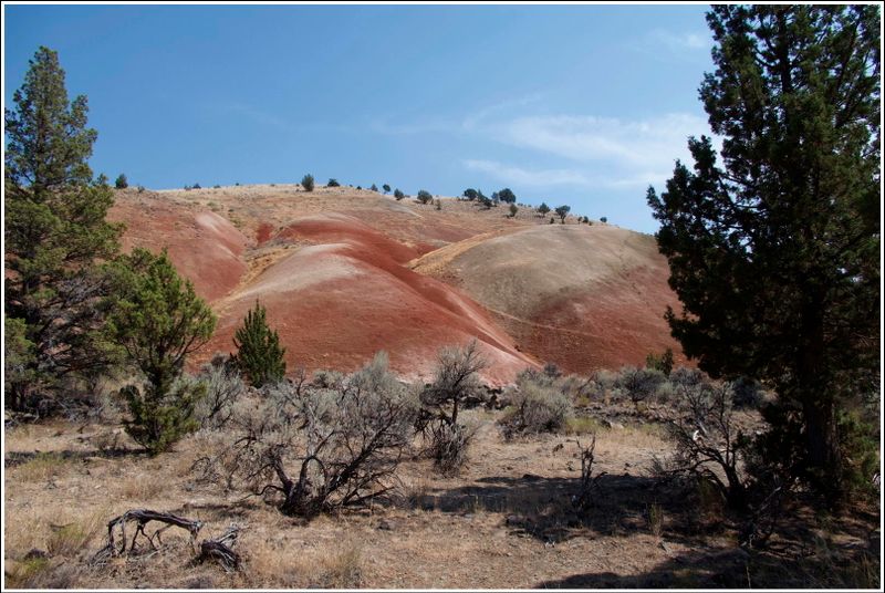 2024-Aug-859-PaintedHills.jpg