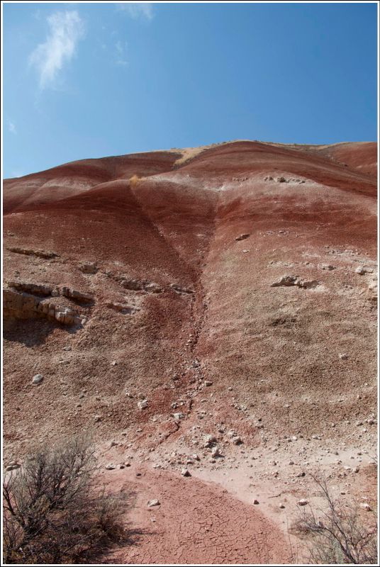 2024-Aug-860-PaintedHills.jpg
