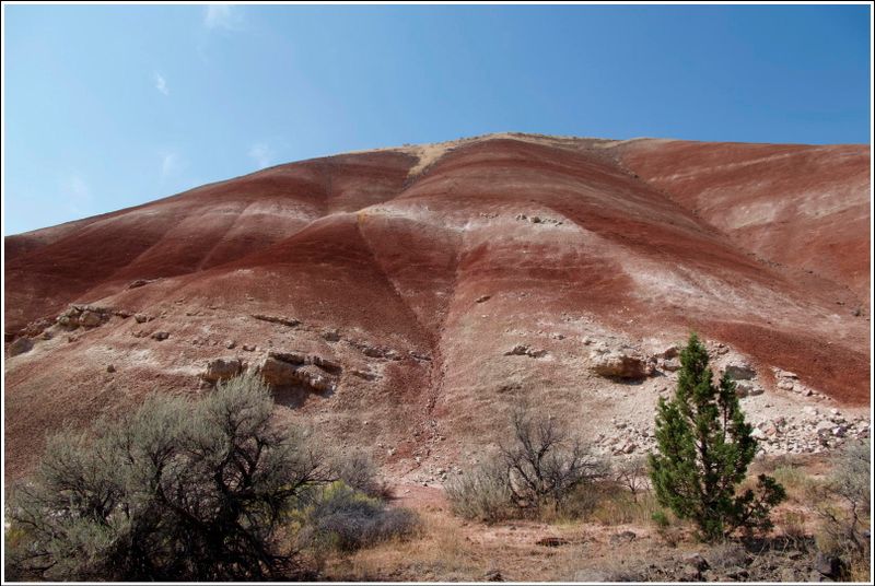 2024-Aug-862-PaintedHills.jpg