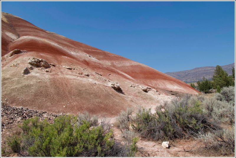 2024-Aug-864-PaintedHills.jpg
