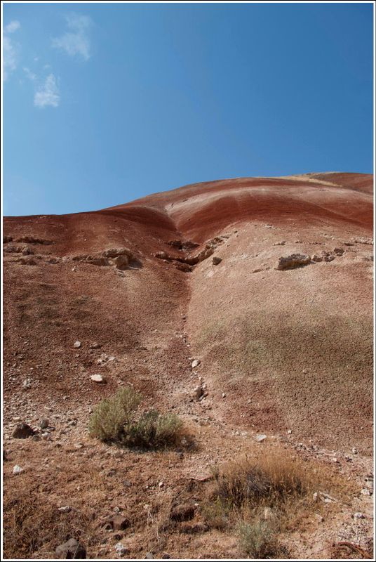2024-Aug-865-PaintedHills.jpg