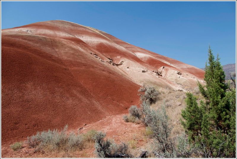 2024-Aug-866-PaintedHills.jpg