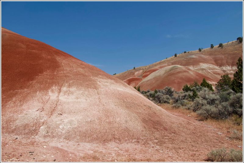2024-Aug-870-PaintedHills.jpg