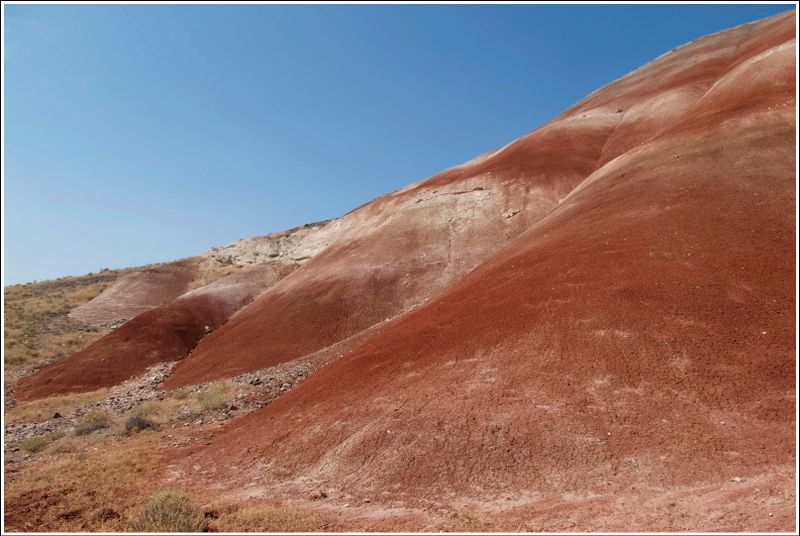 2024-Aug-873-PaintedHills.jpg