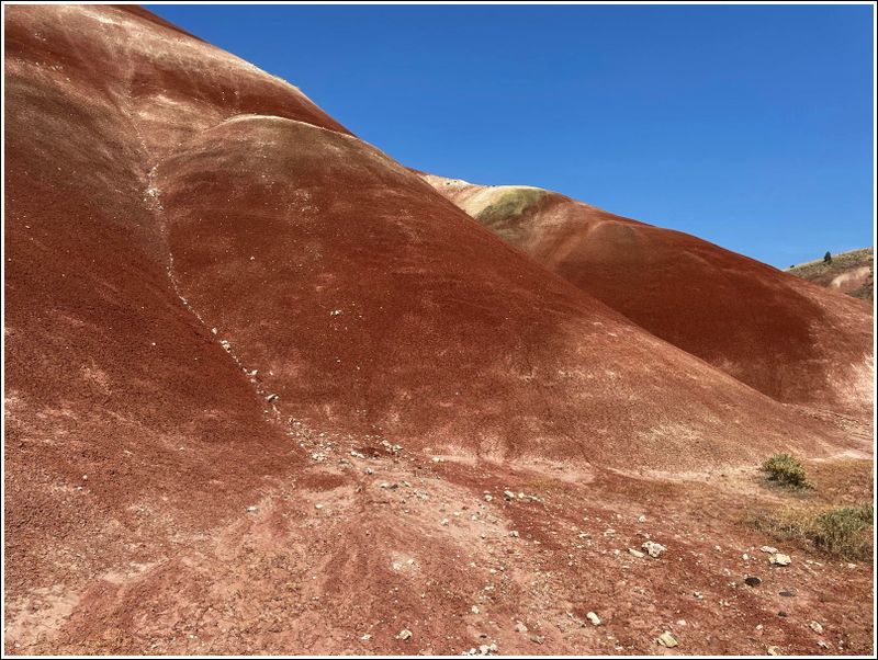 2024-Aug-875-PaintedHills.jpg
