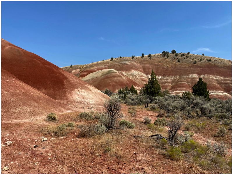 2024-Aug-876-PaintedHills.jpg