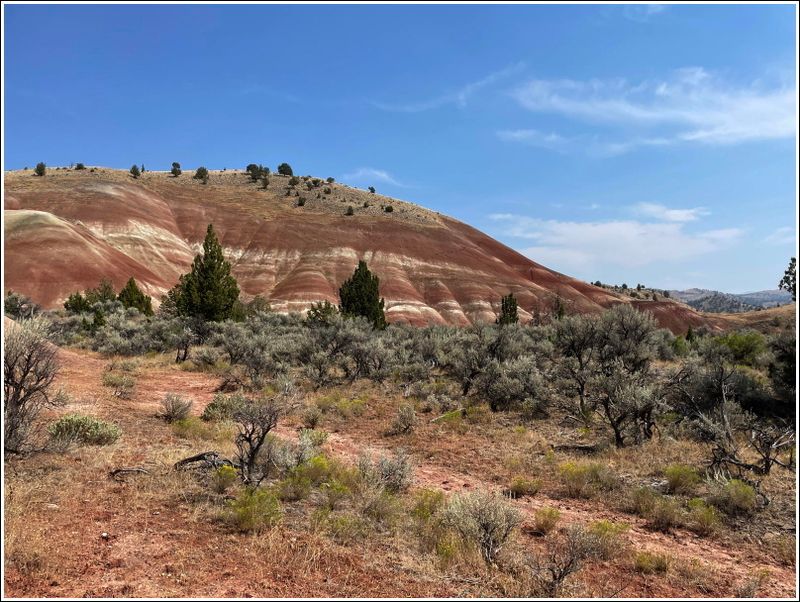 2024-Aug-877-PaintedHills.jpg