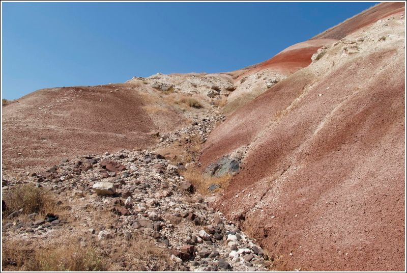 2024-Aug-878-PaintedHills.jpg