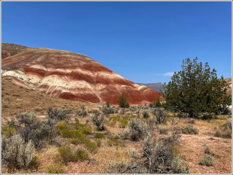 2024-Aug-881-PaintedHills.jpg