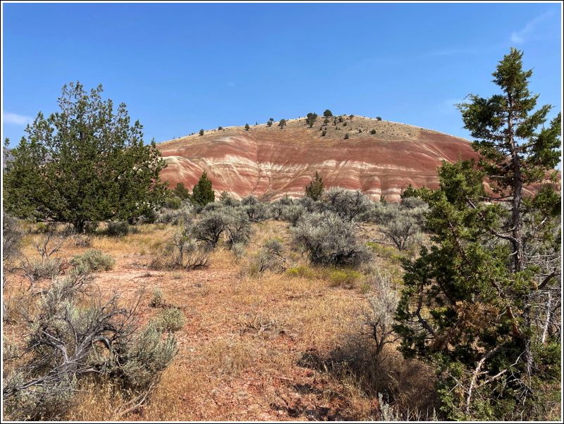 2024-Aug-882-PaintedHills.jpg