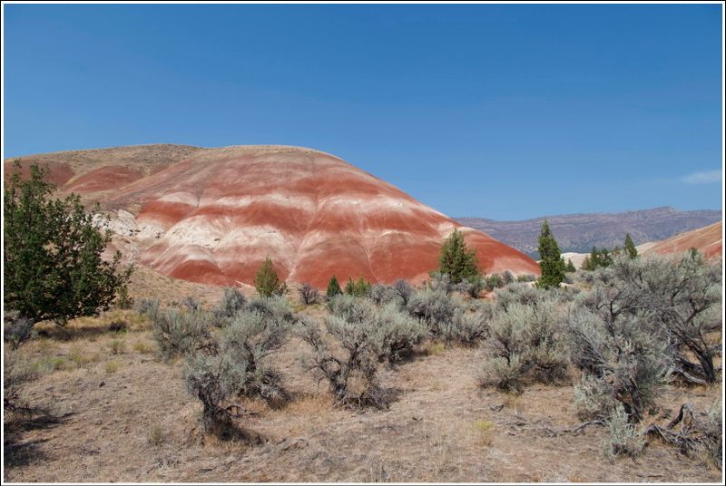 2024-Aug-883-PaintedHills.jpg