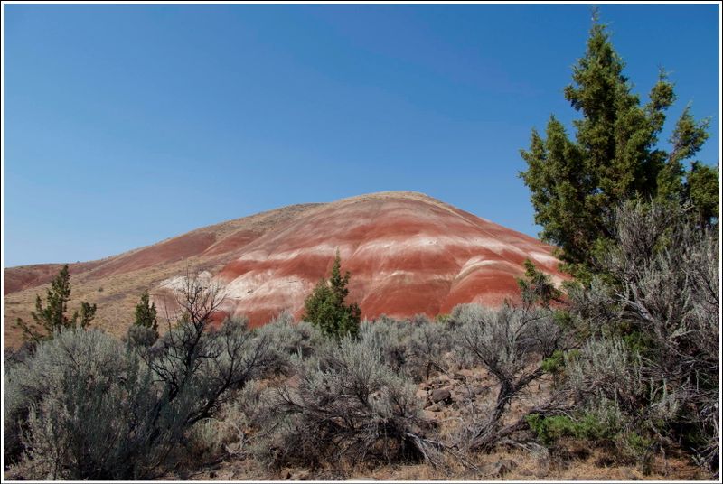 2024-Aug-885-PaintedHills.jpg