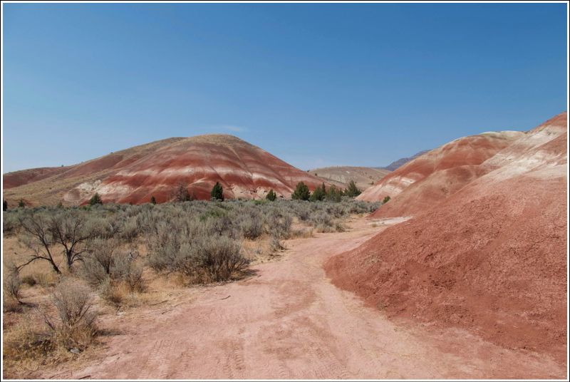 2024-Aug-887-PaintedHills.jpg