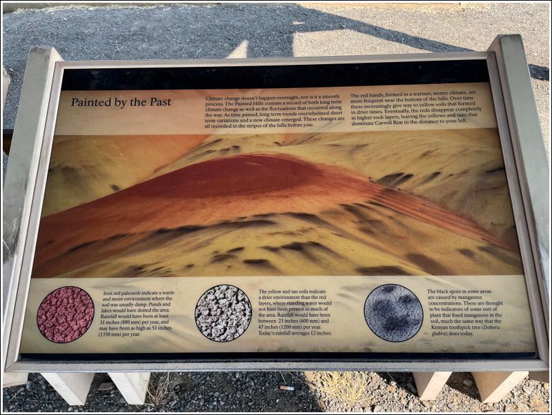 2024-Aug-894-PaintedHills.jpg