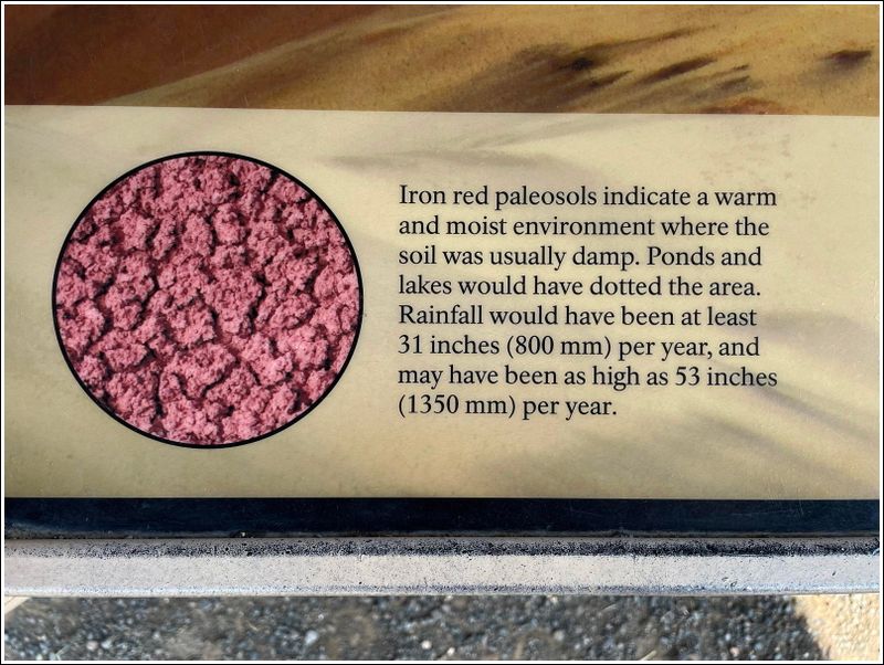 2024-Aug-895-PaintedHills.jpg