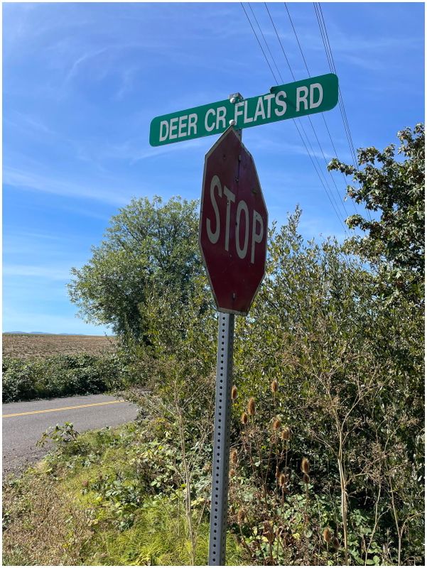 Deer Creek Flats Rd (2024-09-20)