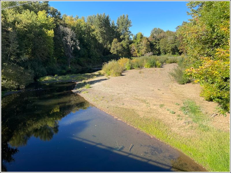 S. Yamhill River (2024-10-03)