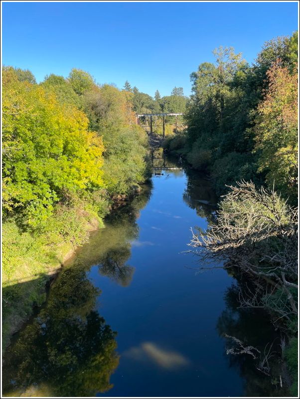South Yamhill River  (2024-10-03)