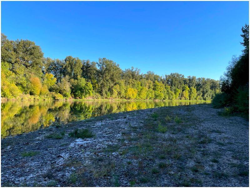 Reflective images of the Willamette (2024-10-07)