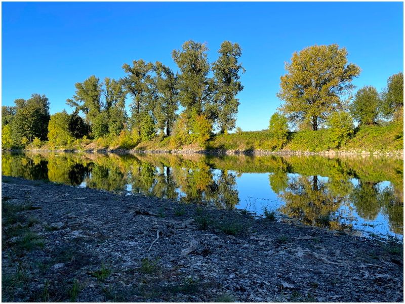 Reflective images of the Willamette (2024-10-07)