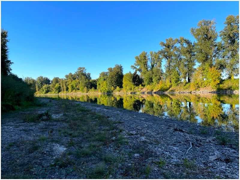 Reflective images of the Willamette (2024-10-07)