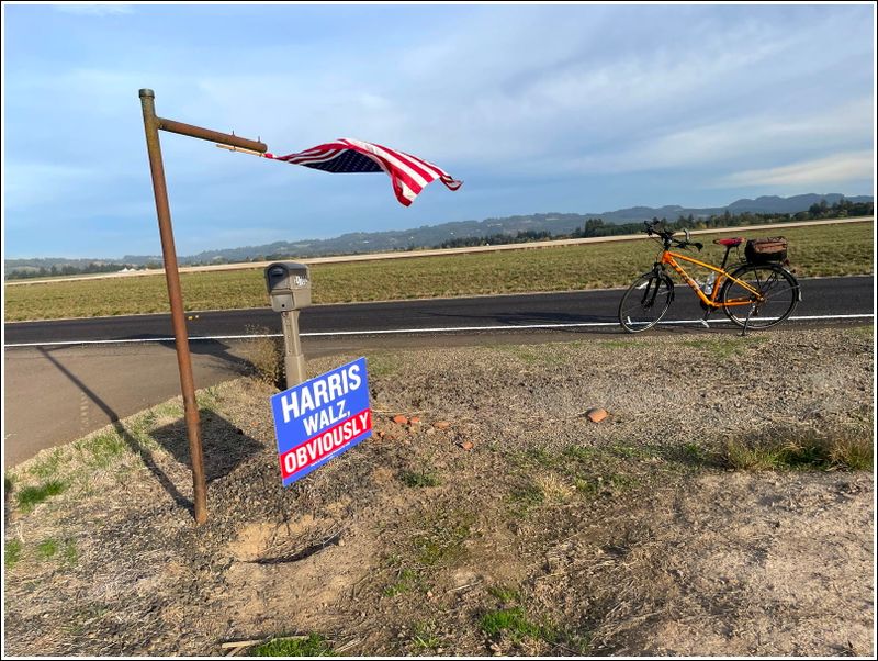 Yes, that was the headwind! (2024-10-11)
