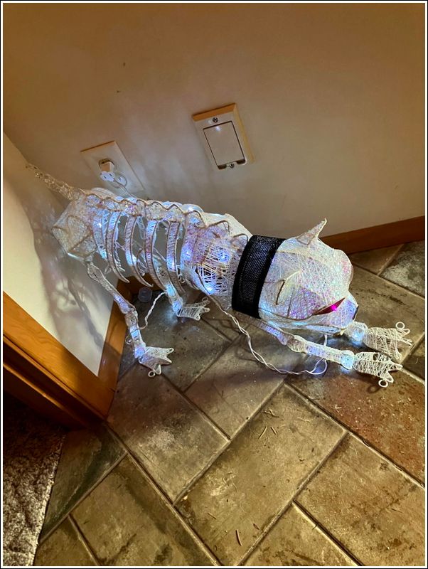 2024 Halloween party at the Watsons!
