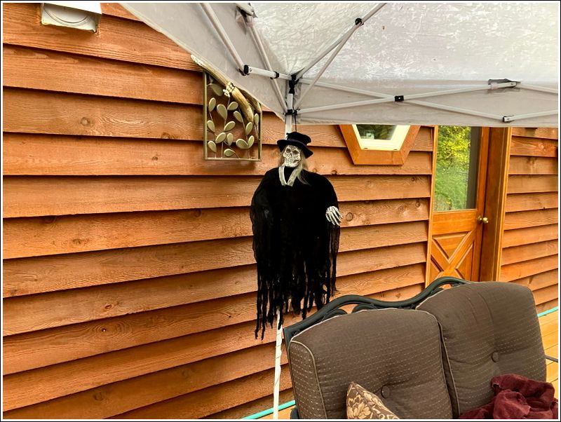 2024 Halloween party at the Watsons!