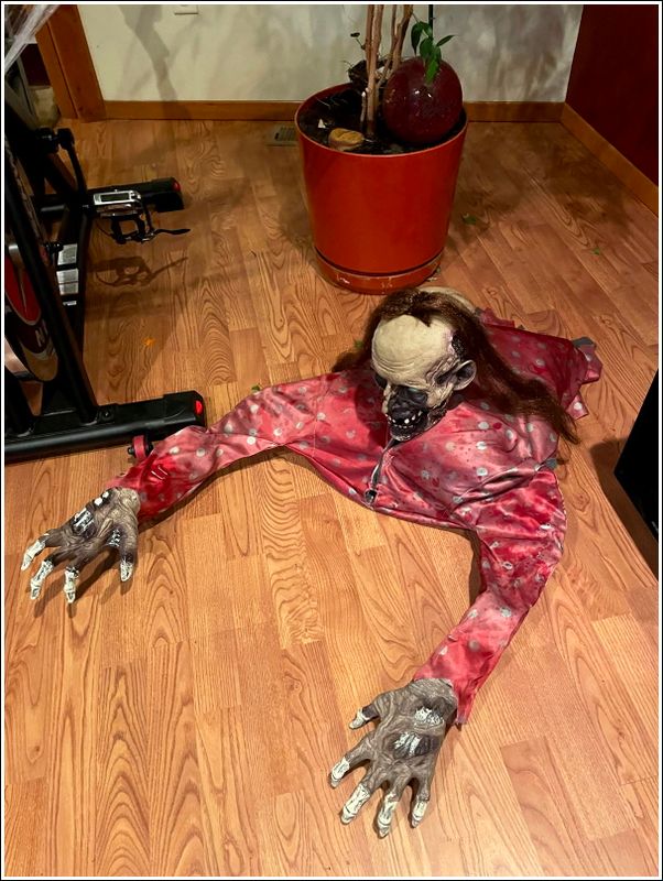 2024 Halloween party at the Watsons!