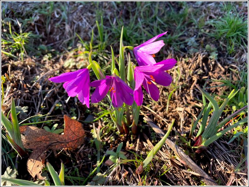 (28Feb25)