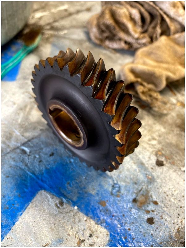Tine shaft gear in near perfect shape.  Whew!  None available - GW-20776