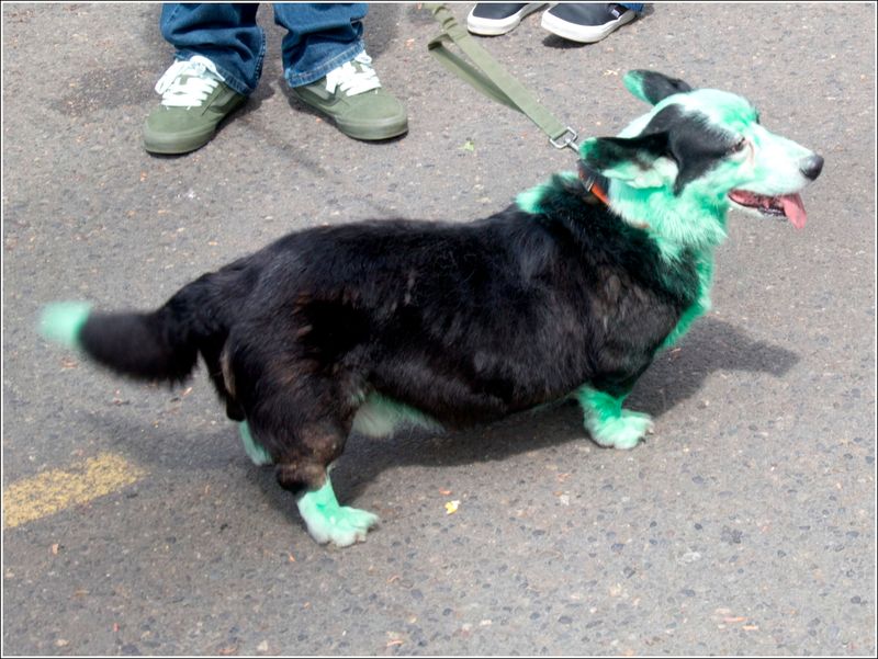 UFO Festival, 17 May 2025, McMinnville
