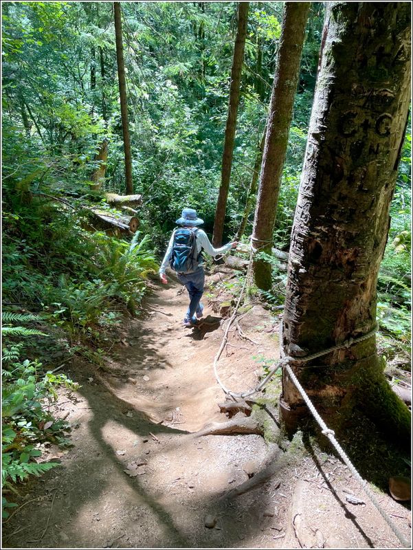 Several trail sections have ropes (2025-07-09)