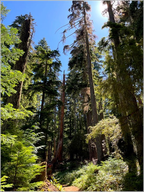 Marion Lake hike (2025-07-12)