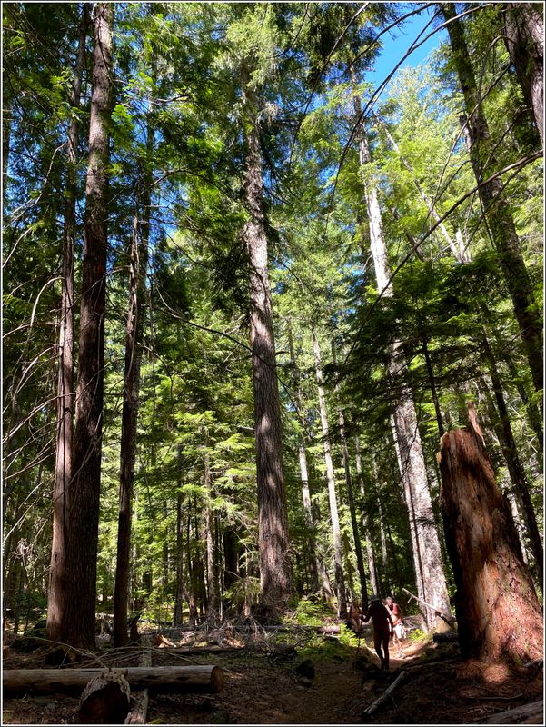 Marion Lake hike (2025-07-12)