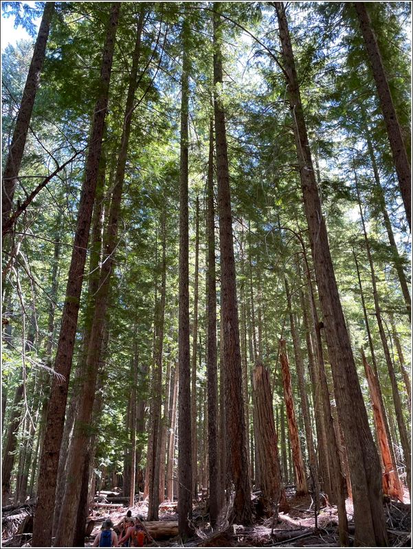 Marion Lake hike (2025-07-12)