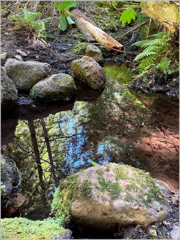 Marion Lake hike (2025-07-12)