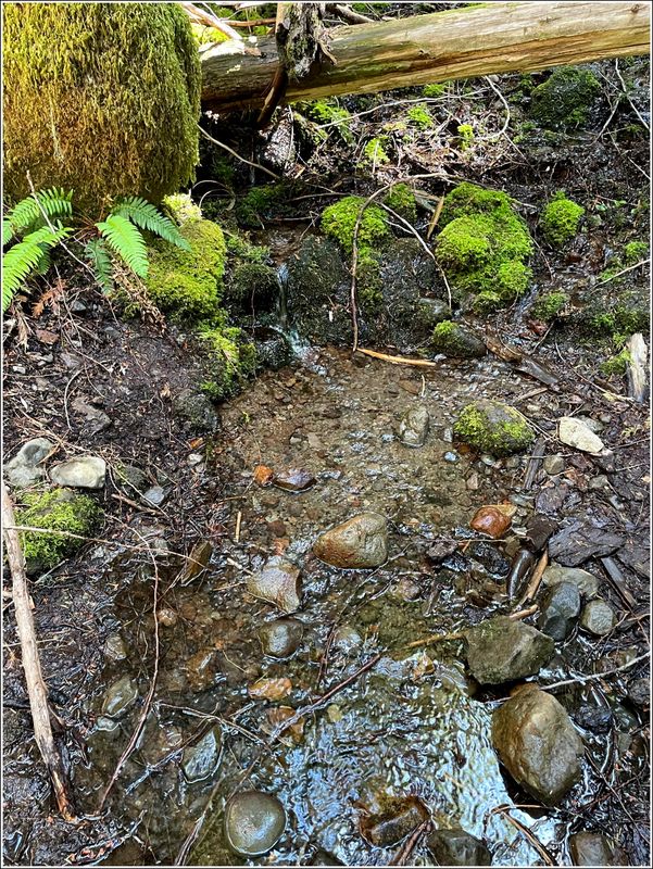Marion Lake hike (2025-07-12)