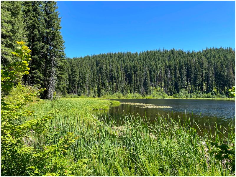 Marion Lake hike (2025-07-12)