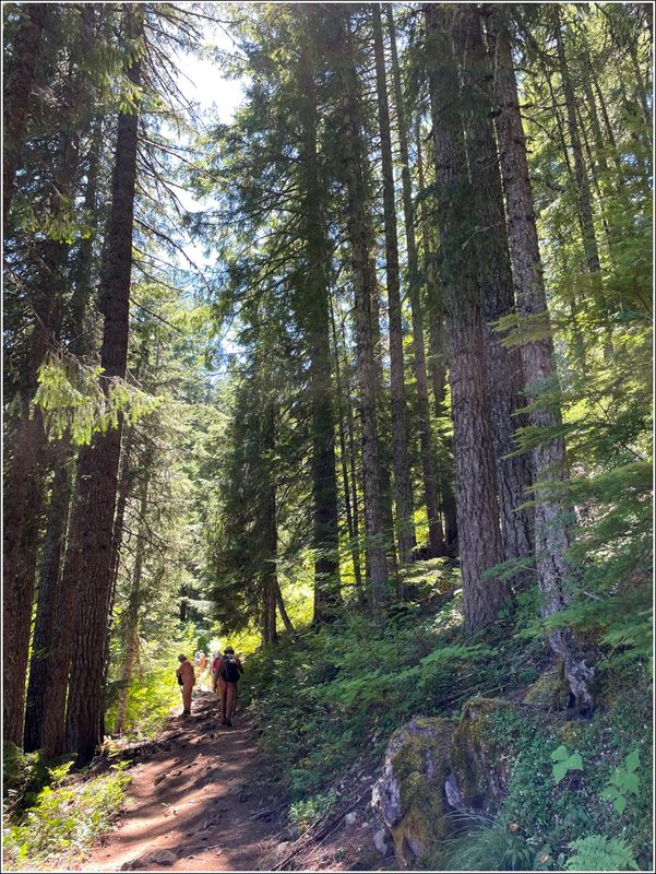 Marion Lake hike (2025-07-12)