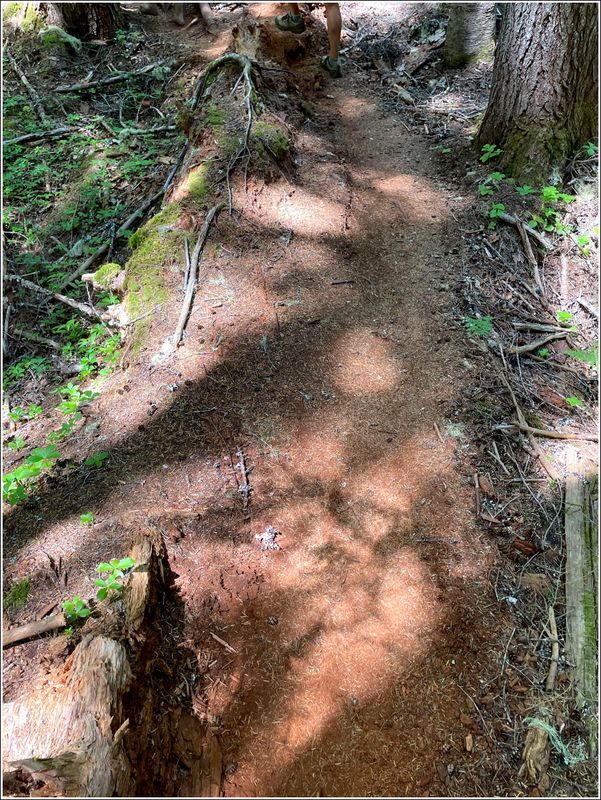 Marion Lake hike (2025-07-12)