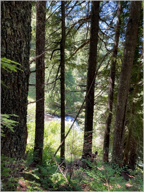 Marion Lake hike (2025-07-12)