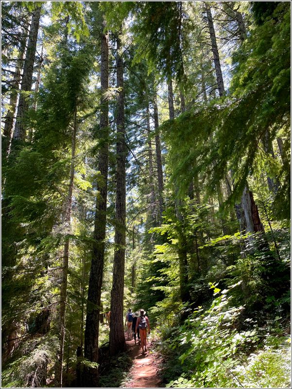 Marion Lake hike (2025-07-12)