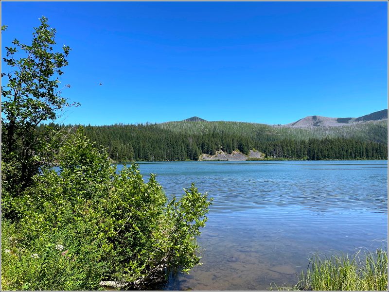 Marion Lake hike (2025-07-12)